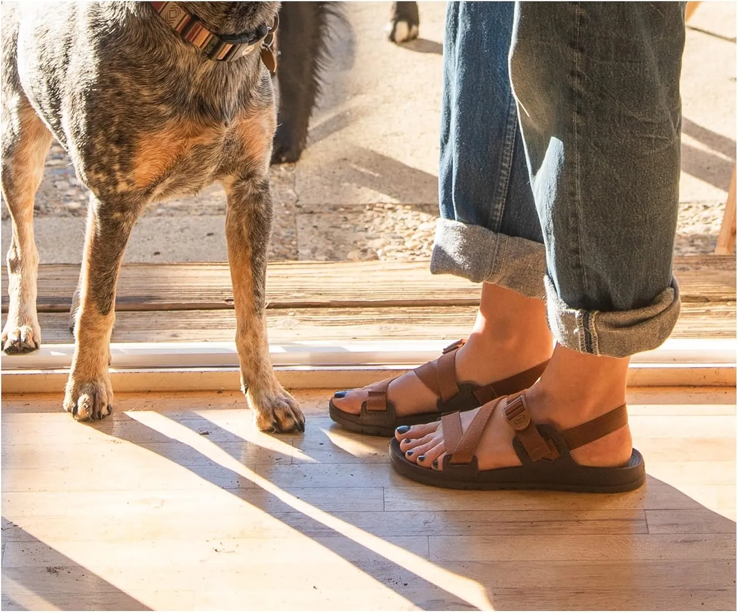 Chaco Women's Lowdown Sandal