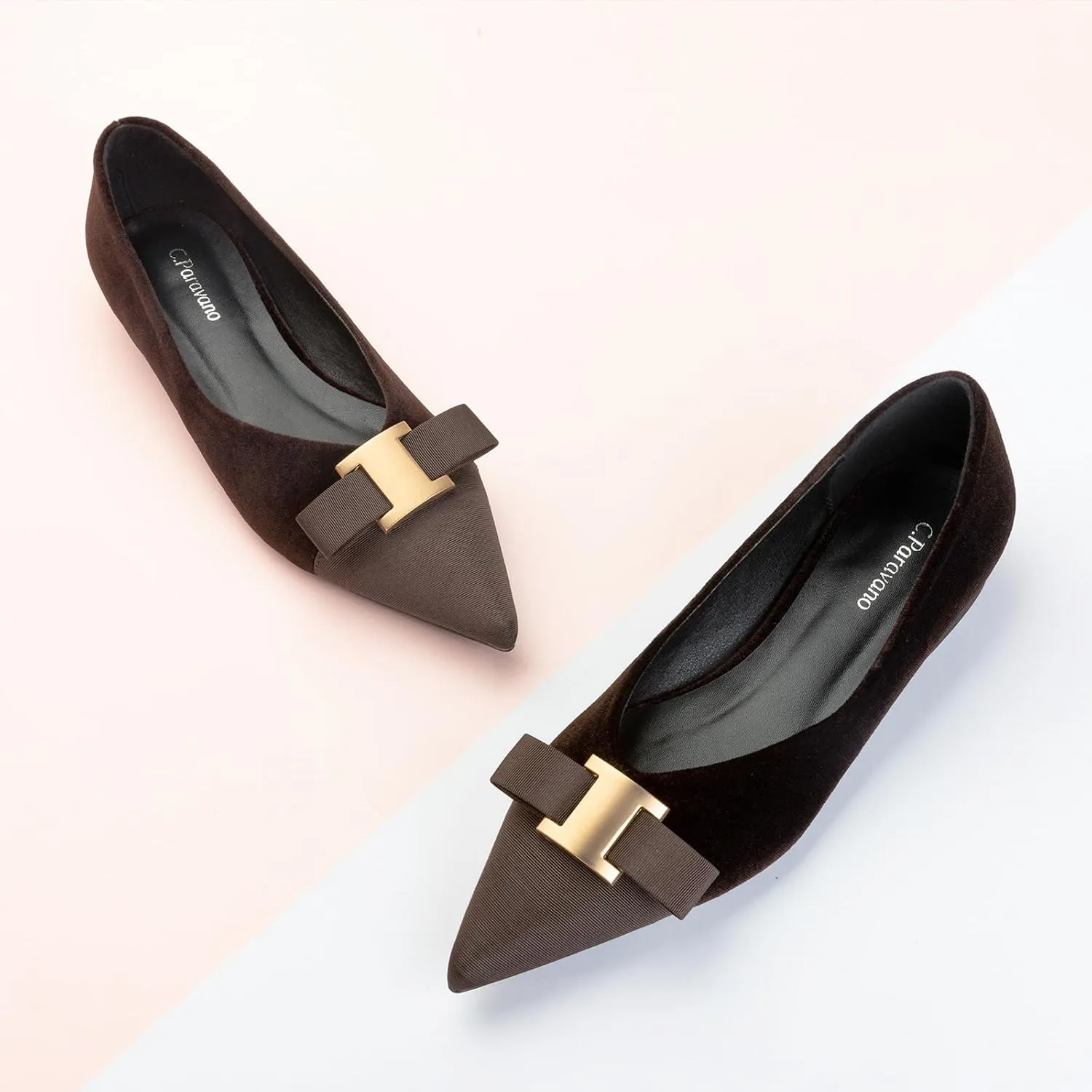 C.Paravano Women’s Flats I Flat for Women Leather I Pointed Toe Flats I Ballet Flats for Women I Slip on Dressy Flats