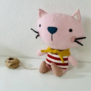 Remi the Cat